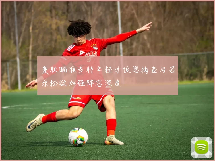 曼联瞄准多特年轻才俊恩梅查与吕尔松欲加强阵容深度