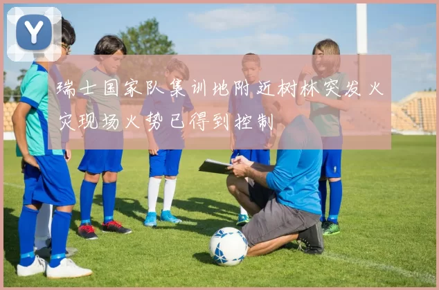 瑞士国家队集训地附近树林突发火灾现场火势已得到控制