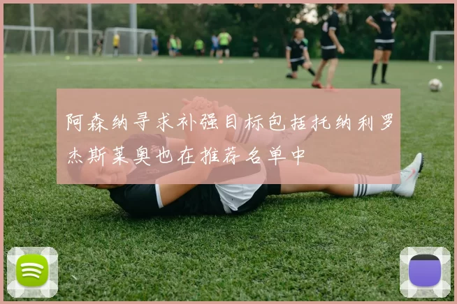 阿森纳寻求补强目标包括托纳利罗杰斯莱奥也在推荐名单中